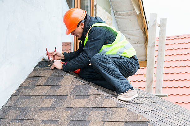 Best Roof Maintenance Services  in Dillingham, AK