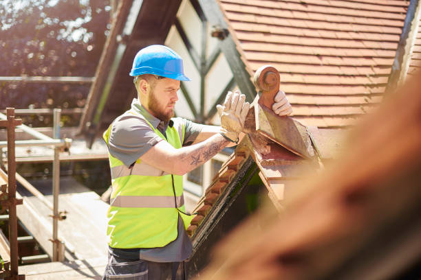Best Storm Damage Roof Repair  in Dillingham, AK